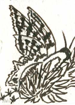 "Gathering Nectar" by Karen Livingood, Oshkosh WI - Pen & Ink